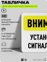 Табличка для частной территории "Внимание, установлена сигнализация", на дом, для участка, организаций и частных территорий, предупреждающая, 40х30 см, Silver Plane x Айдентика Технолоджи
