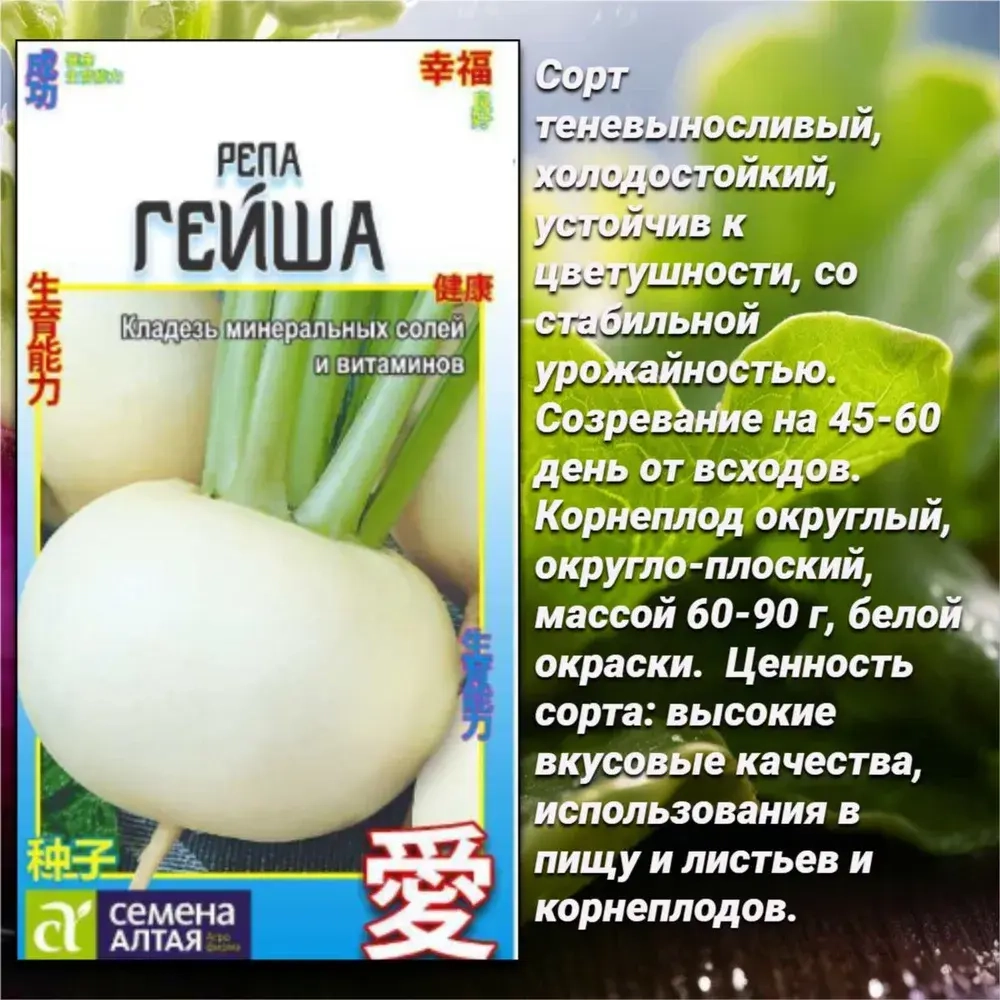 Набор семян корнеплодов: редька, брюква, репа