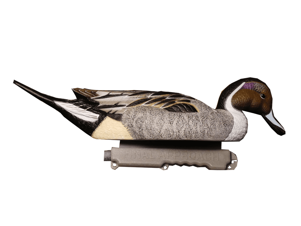 Шилохвость селезень "FA LIVE PINTAIL FLOATERS" (6 селезней)