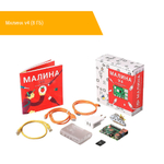 Малина v4 (8 ГБ) набор