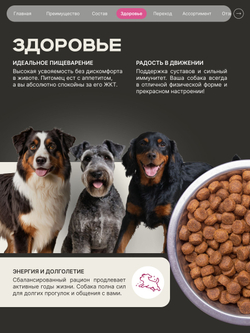 Корм сухой для взрослых собак средних пород, премиум полнорационный комплекс, забота о здоровье печени, с говядиной, 2,5 кг, QUATTRO