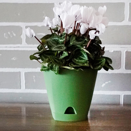 ГОРШОК Д/ЦВЕТОВ AMSTERDAM D200ММ 4Л ОЛИВКОВЫЙ 6201