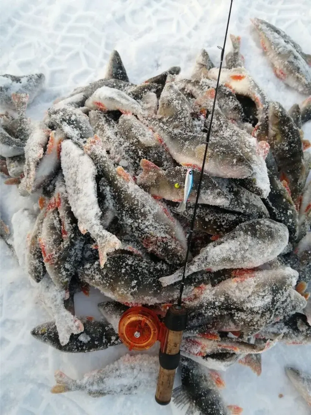 Балансир NORDIC 4 40мм/15H