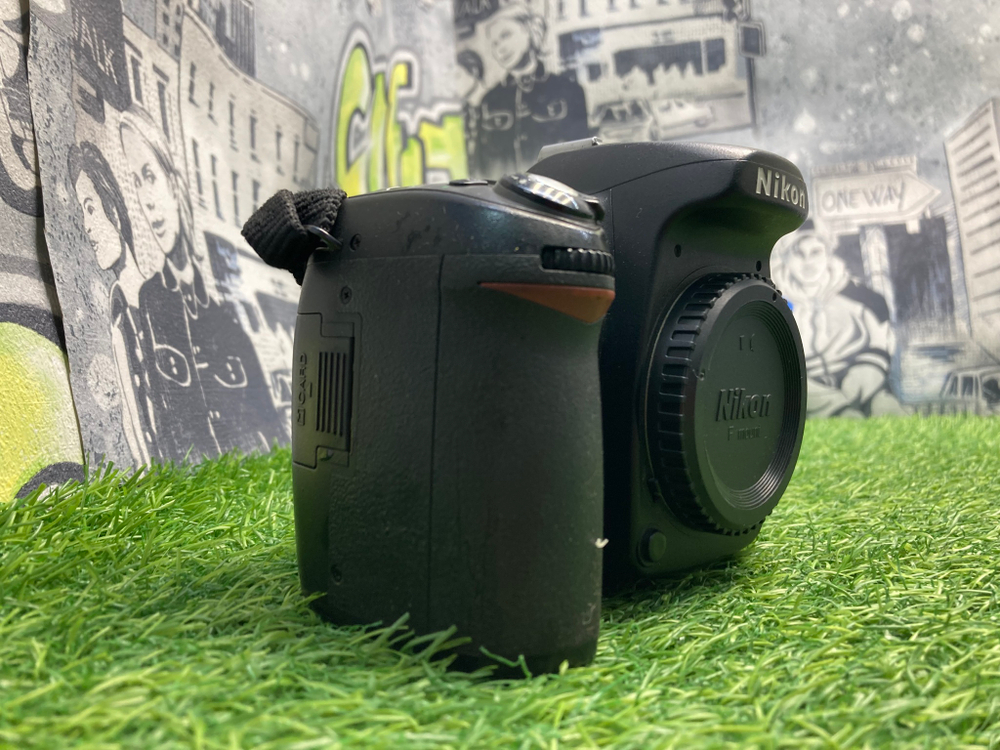 Nikon D80