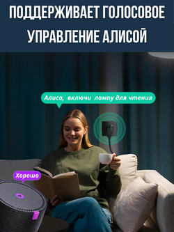 Умная евророзетка Tuya, ZigBee, управление голосом Алиса, темно-серая, до 16А и 3500Вт, память состояния