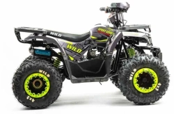 Квадроцикл Motoland 125 WILD (2020 г.)