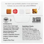 Simply Gum, Жевательная резинка, очищающее средство, грейпфрут, опунция, кайенский перец, морская соль`` 15 шт.