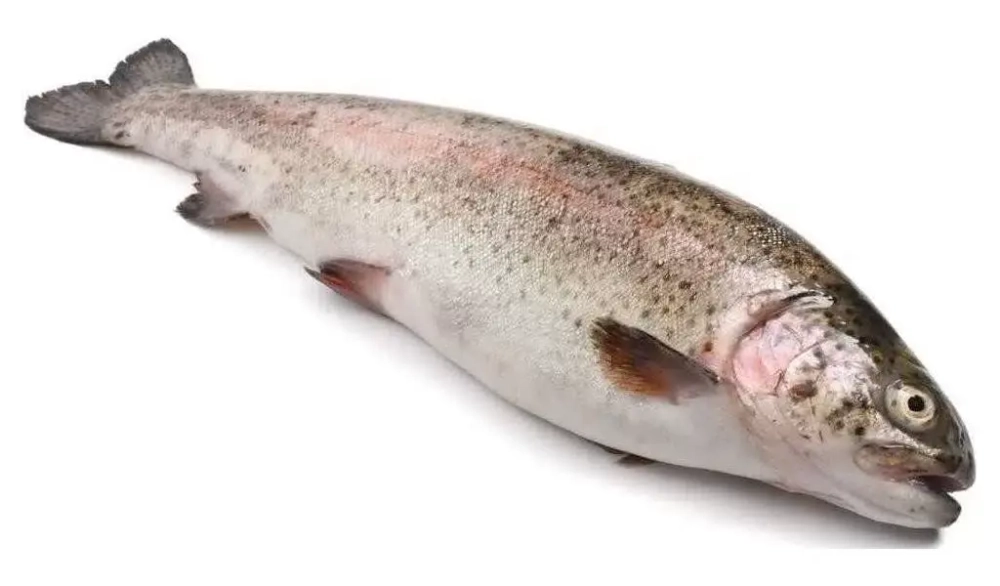 Форель н/р 300-400