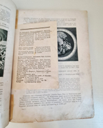 "Невский проспект. Том 2. Выпуск 3". Божерянов И.Н. 1903 г.