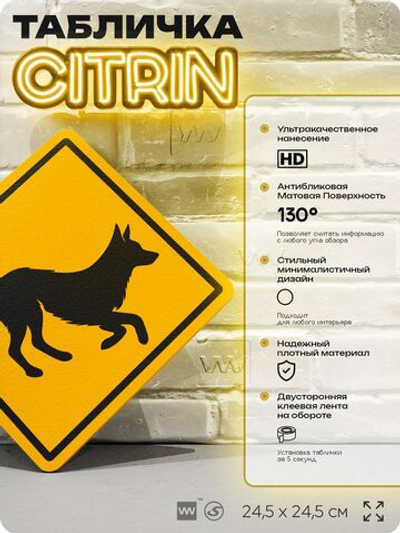 Табличка прикольная "Осторожно, собака" на дверь и стену, информационная и предупреждающая, декоративный знак, 24,5х24,5 см, пластиковая, Айдентика Технолоджи