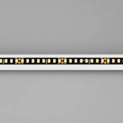 Светодиодная лента RT-5000-2835-160-24V Day4000 (Black 8mm, 12W/m, IP20) (Arlight, -) 029427(1)