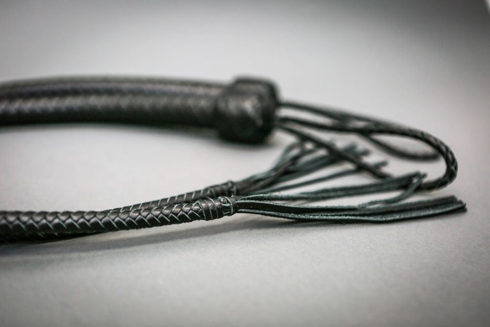 Кнут Magic-Wand 1.7 метра