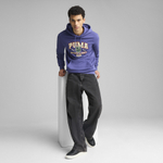 Мужская толстовка PUMA WARDROBE ESS Graphic Hoodie