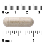 Swanson Vitamins, Глюкоманнан +, 300 капсул