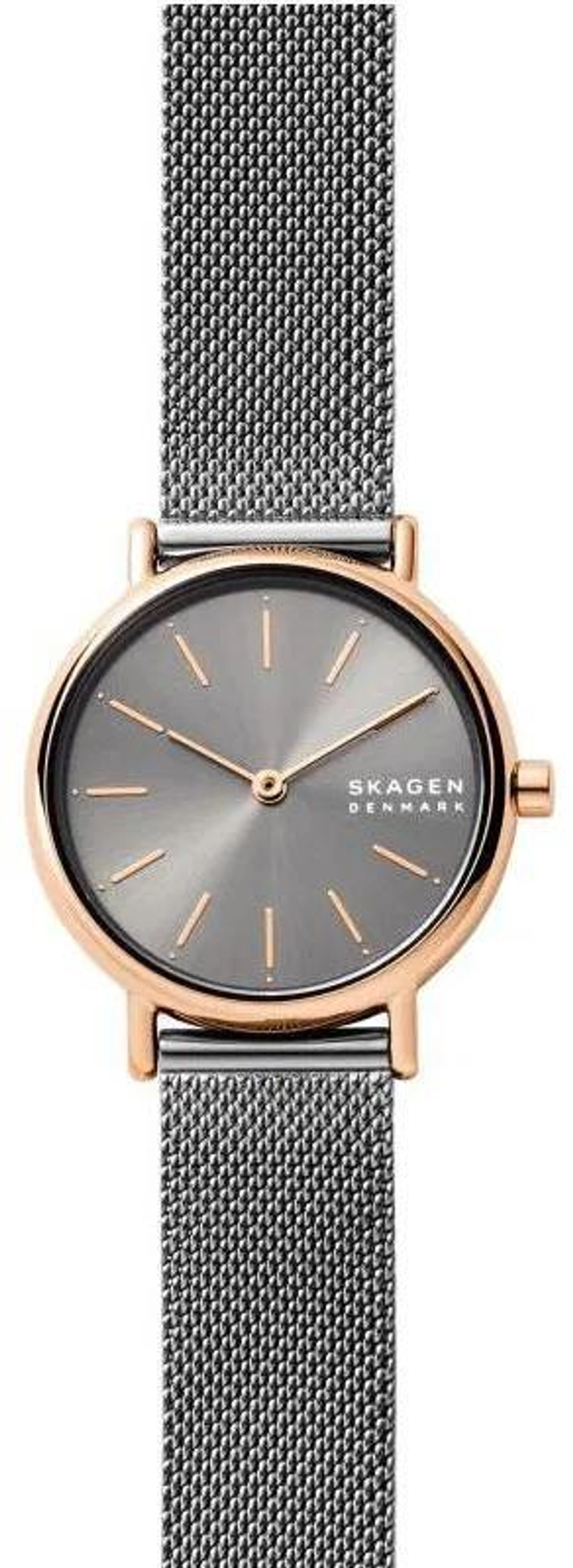 Женские наручные часы Skagen SKW2996