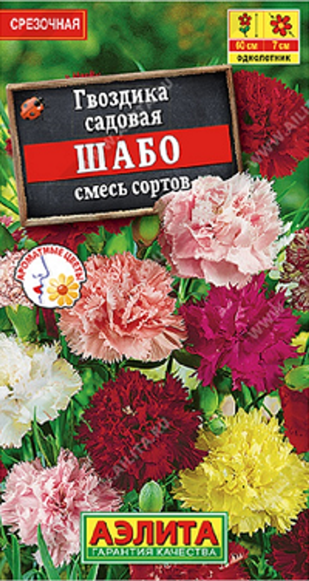 Гвоздика садовая Шабо, смесь сортов