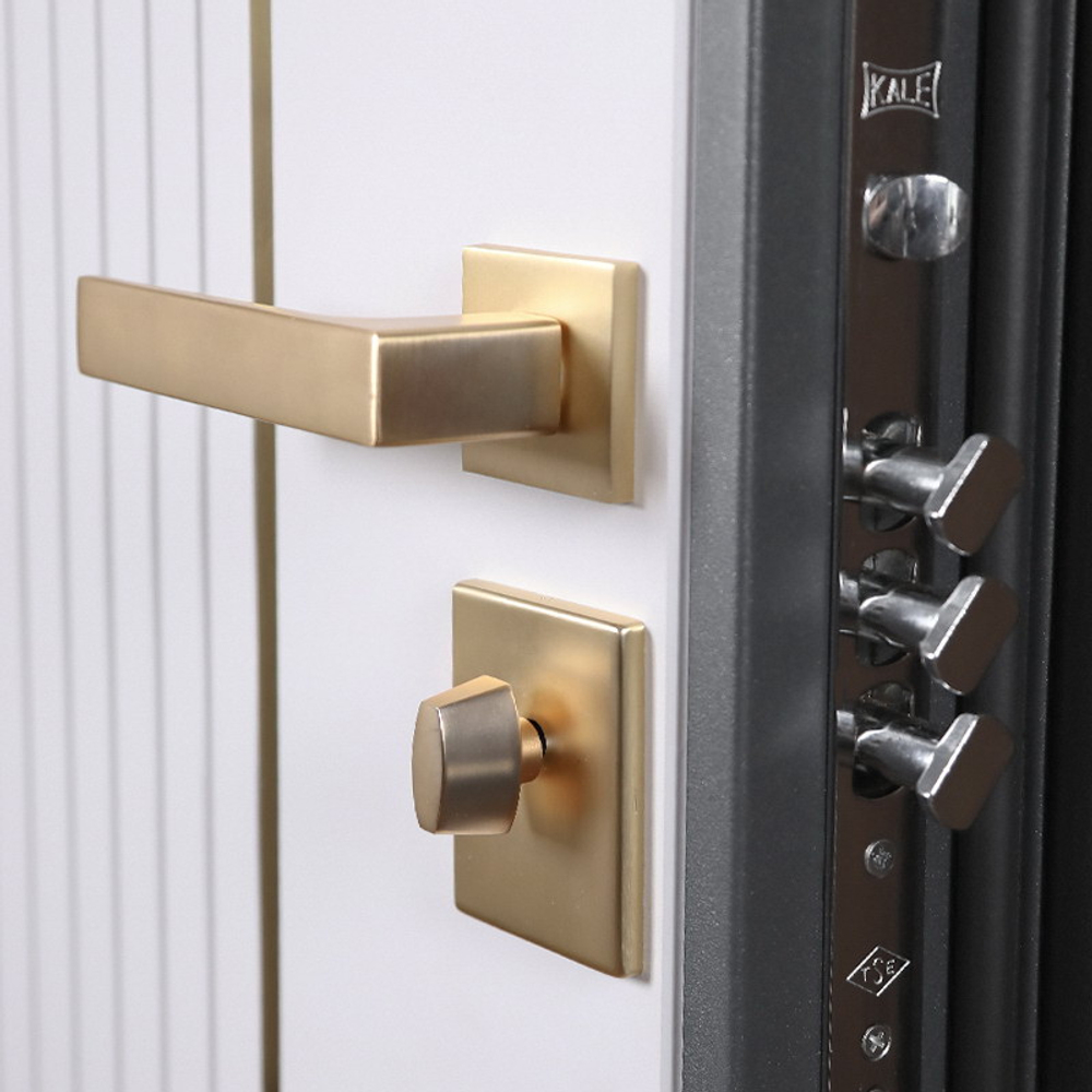 Стальная дверь "Лига". Заказная модель.