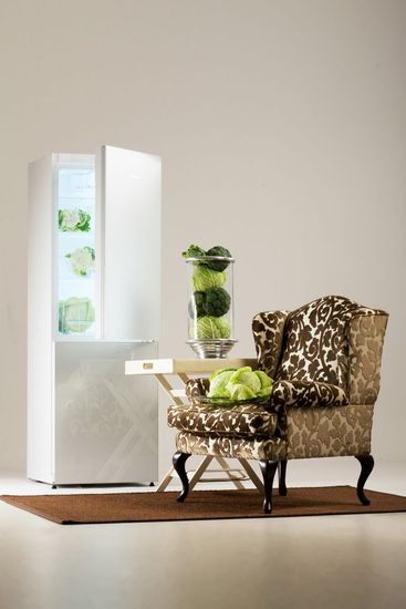 Холодильник Snaige RF36NG-Z10027G