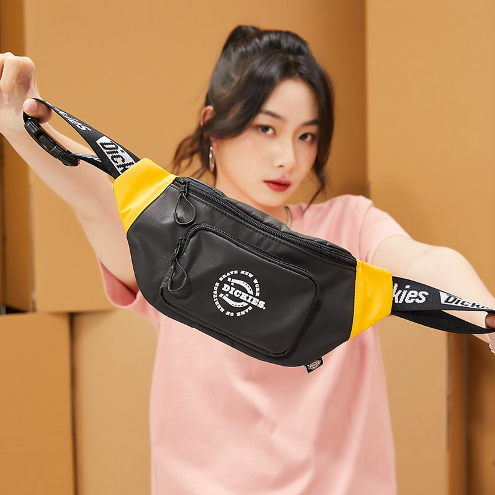 Dickies Polyester Fanny Pack Regular Unisex Black