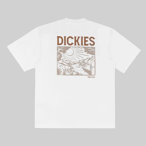 Футболка мужская Dickies Patrick Springs Tee артикул:DK0A4YR7WHX1 - купить в магазине Дайс