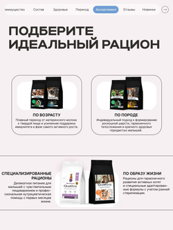 Корм сухой для котят породы Канадский сфинкс, с лососем, 2 кг, QUATTRO