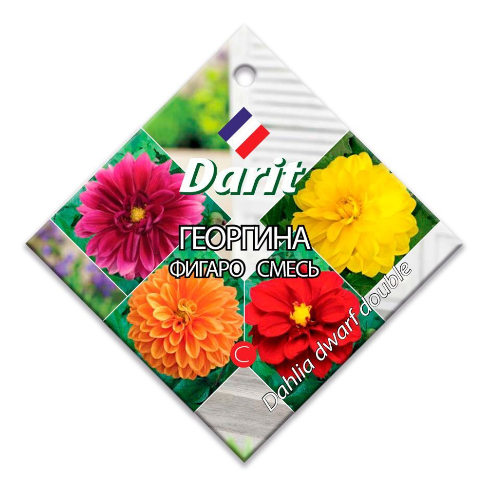 Георгина Фигаро смесь, семена Дарит 0,3г (300)
