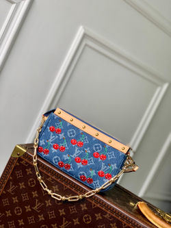 Louis Vuitton Pochette Accessoires