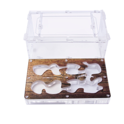 Муравьиная ферма Antrum M