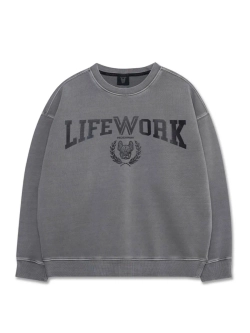 Свитшот с пигментом с логотипом университета