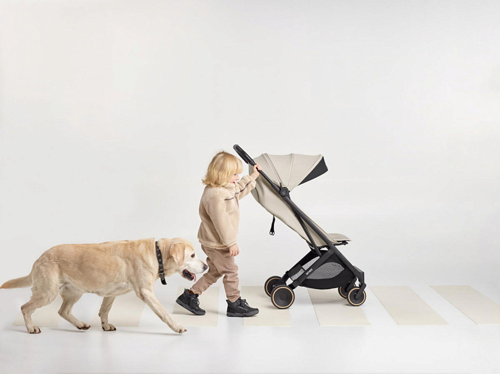 Детская прогулочная коляска Anex Air-X2 Shiro