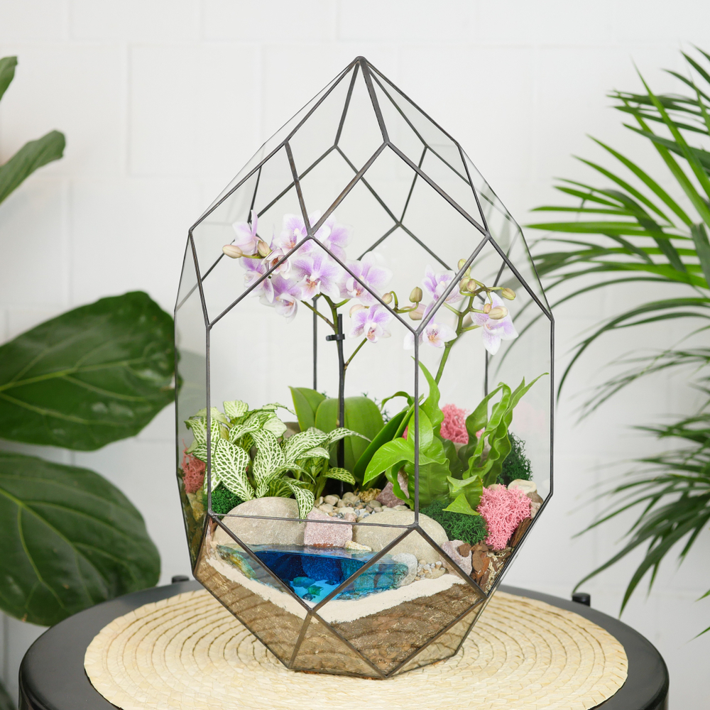 Готовый флорариум с нежной орхидеей Цефей с озером