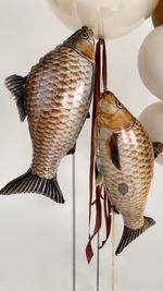 Воздушные шары для него №8866