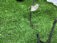 Проводка заднего бампера BMW X4 G02 (2018-н.в.)