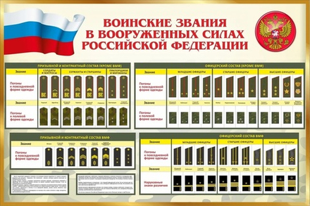 Стенд "Воинские звания в вооруженных силах Российской Федерации"