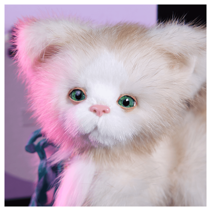 Котик Кексик