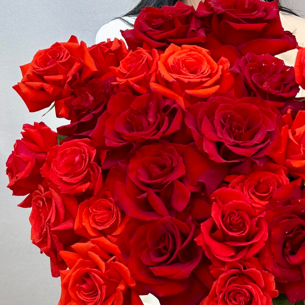 «Пламя и бархат» монобукет из 25 французских роз Нина и Эксплорер