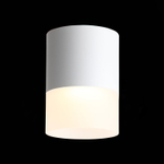 ST100.502.15 Светильник потолочный Белый LED 1*15W 3000K 1 170Lm Ra&gt;80 120° D118xH150 170-240V Накладные светильники