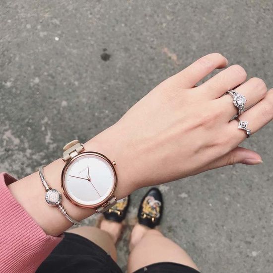 Женские часы Skagen SKW2484