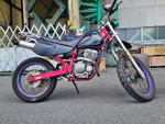 Suzuki DR250R-S 040741