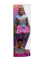 Кукла Барби Кен Игра с модой Fashionistas DWK44 HJT11