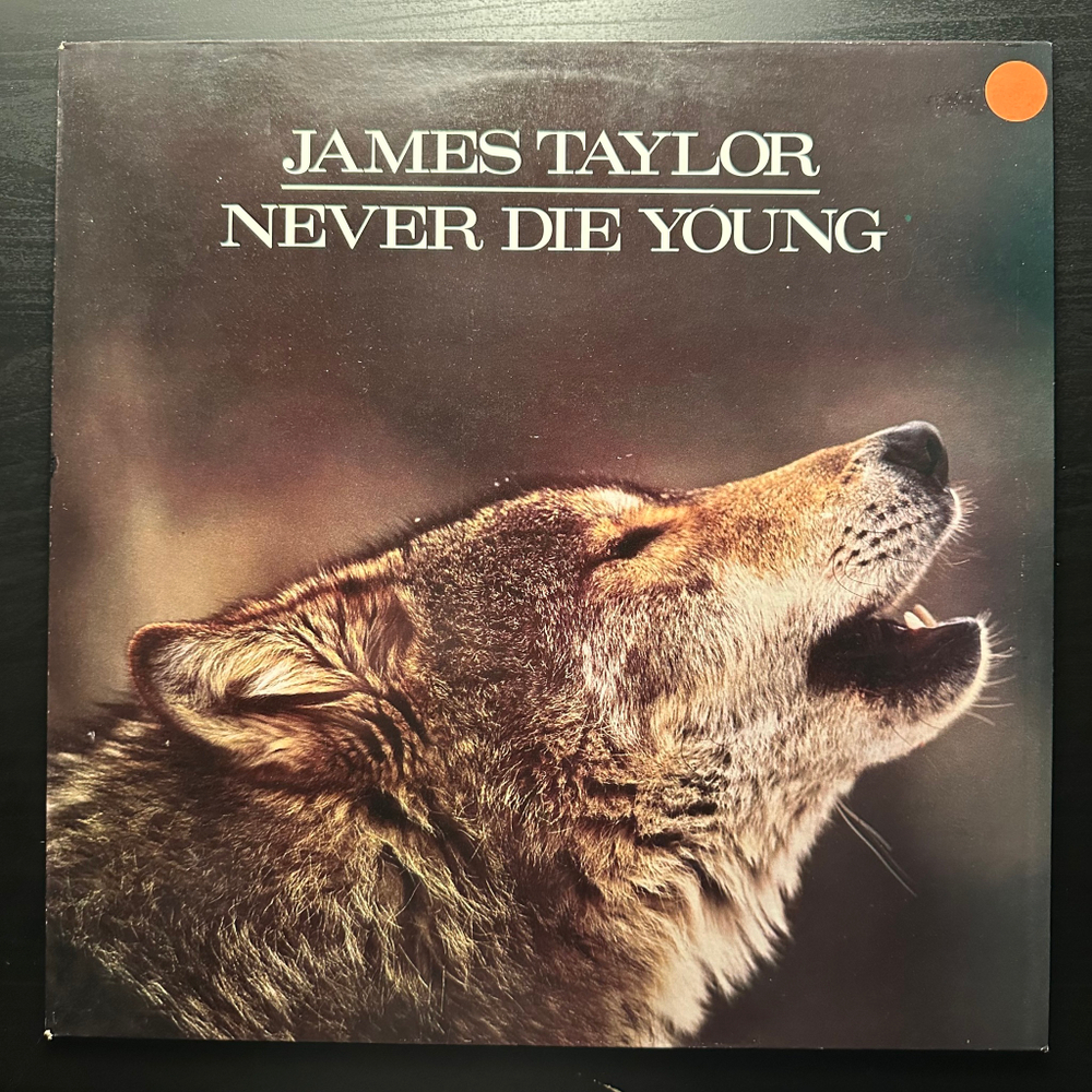 James Taylor – Never Die Young (Голландия 1988г.)