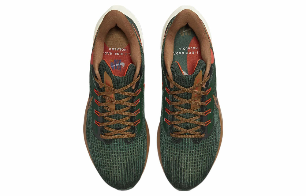 Кроссовки Nike Air Zoom Pegasus 39 "A.I.R. Hola Lou"