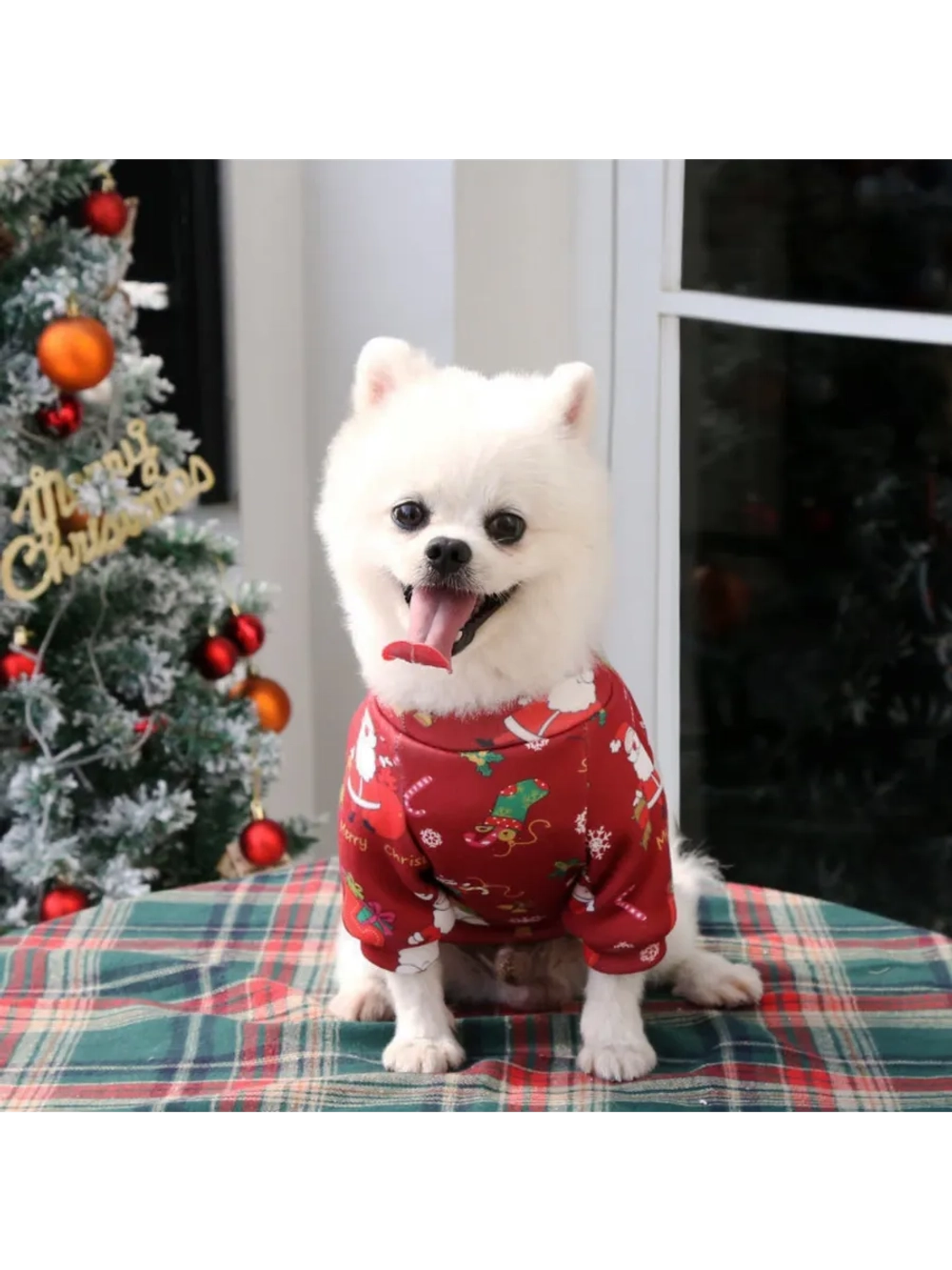 Новогодняя кофта для собак