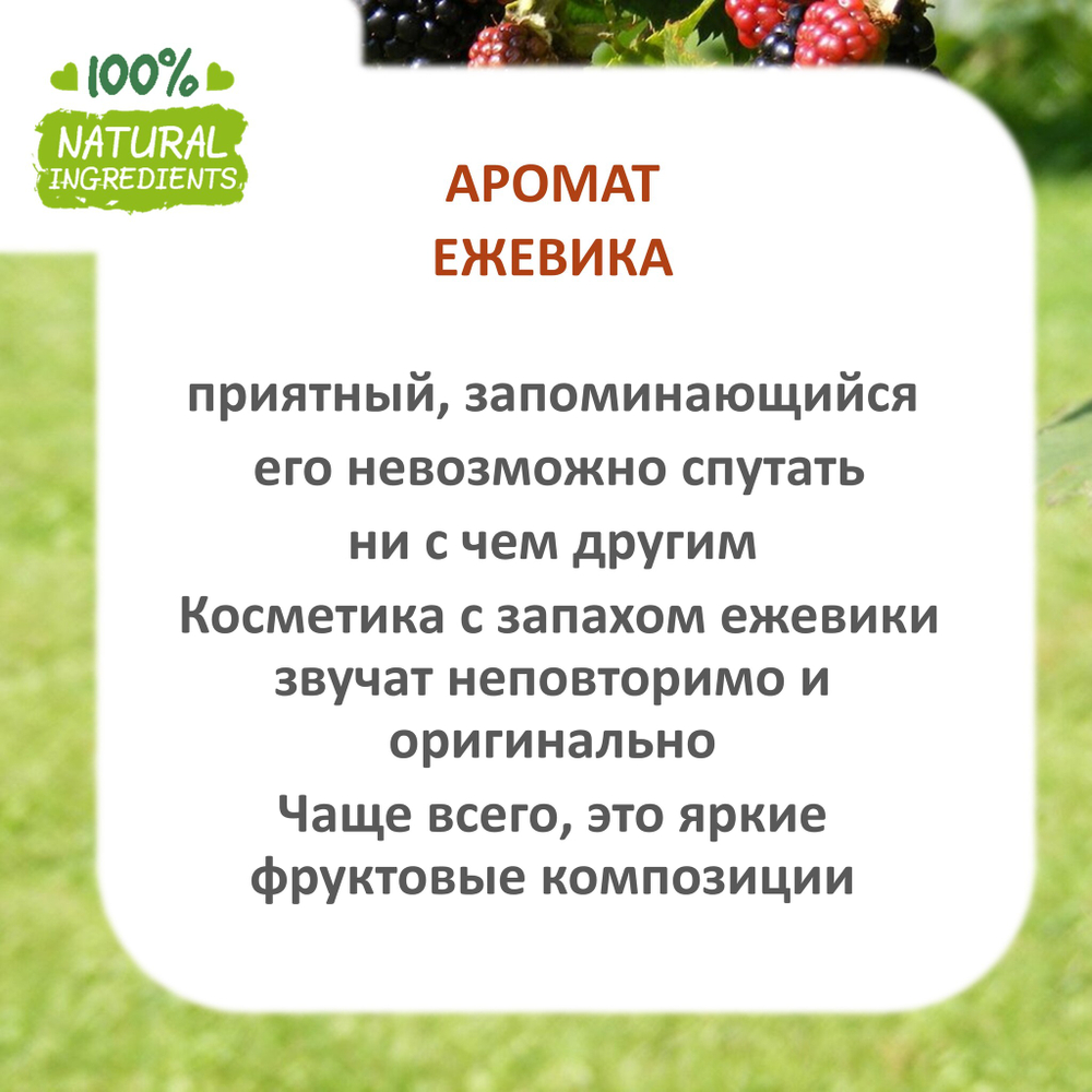 Ежевика, отдушка для свечей и мыла
