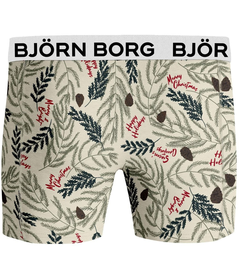 Боксерки теннисные Bjorn Borg Core Boxer 2P