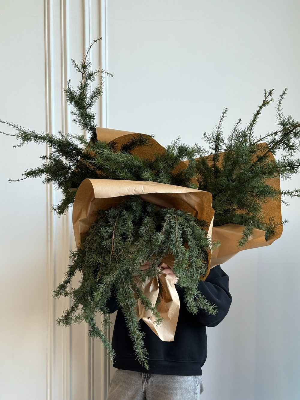 Хвоя - охапка пихты с шишками