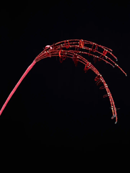 Ветвь из бисера с пайетками Алые паруса, красная с золотом, 13х53 см., Christmas DeLuxe (88908)