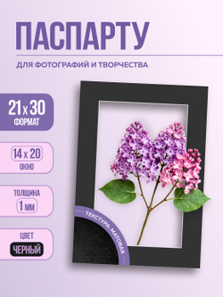 Паспарту 21х30 см черный арт.1097982130