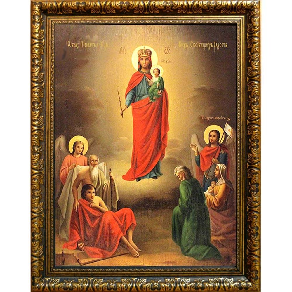 Всех скорбящих радость. Икона Божьей Матери с младенцем на руках.