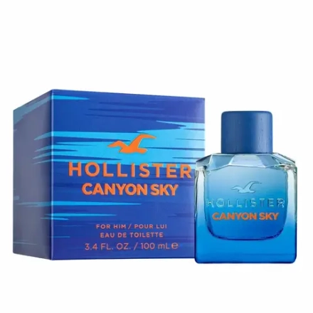 Мужская парфюмерия Hollister Canyon Sky EDT 100 мл
